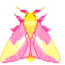 waxmoth avatar