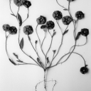 waystarblacksco avatar