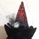 waywardblackkitty avatar