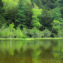 waywardtyrantmoon avatar