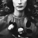 waywardwarriorismsarchived-blog avatar