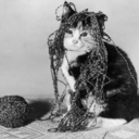 wazaby-blog-blog-blog avatar