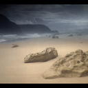 weaponsofwords avatar