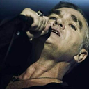 wearemozzerians avatar