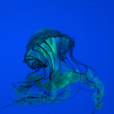 wearywitch666 avatar