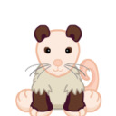 webkinzpossum avatar