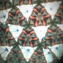 wecanpopbottlesallnight avatar