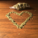 weed-photography-blog avatar