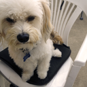 weedforyourneed avatar