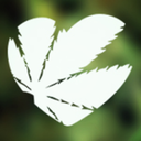 weedporndaily avatar