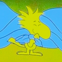 weeklywoodstock avatar