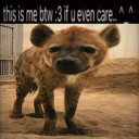 weepingwillowbark avatar