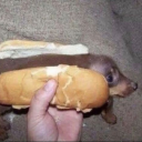 weirdgirlspira avatar