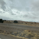 weirdwildwonderland avatar