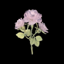 weizenfeldbouquet avatar