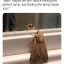 welcometomylittleworld avatar