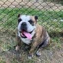 welcometomyzennnnn avatar