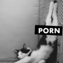 welcometowonderlust-blog avatar