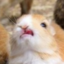 well-excuuuuuse-me avatar