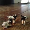 wellwornwonder avatar