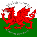 welshword avatar