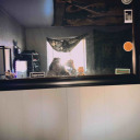 were-up-all-night-t0-get-l0ki avatar