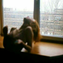 west-oft-moon avatar