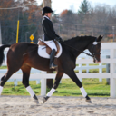 western-turned-dressagequee-blog avatar