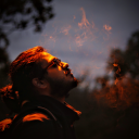 whackywonkywombat avatar