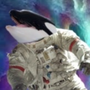 whale-in-sky avatar