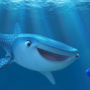 whalesharkdestiny avatar