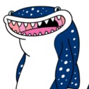 whalesharko avatar