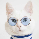 what-is-chill avatar