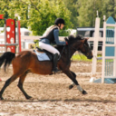 whataboutmyhorse avatar