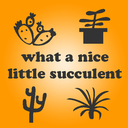 whatanicelittlesucculent avatar