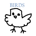 whatbirdisthat avatar