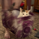 whatisthisthingamabob avatar