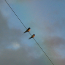 whativebeenreadin avatar