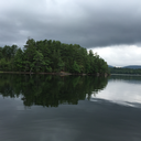 whatsahairbrush avatar