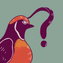 whatsthebird avatar