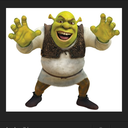 whatthe-shrek avatar