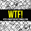 whatthefact-blog avatar