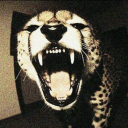 whatthefuckisbrunch avatar