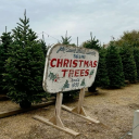 whenitcounts33 avatar