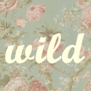 where-thewild-roses-grow avatar