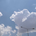 whereismyvedetta avatar