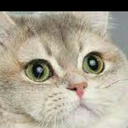 wherethecheeksroamfree avatar