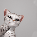 wherethewildgnomesare avatar