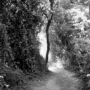 whileibreathe-blog avatar