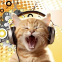 whimsicalpirate avatar